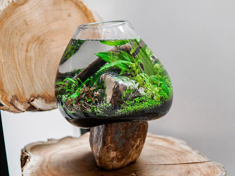 تنگ ماهی شیشه ای