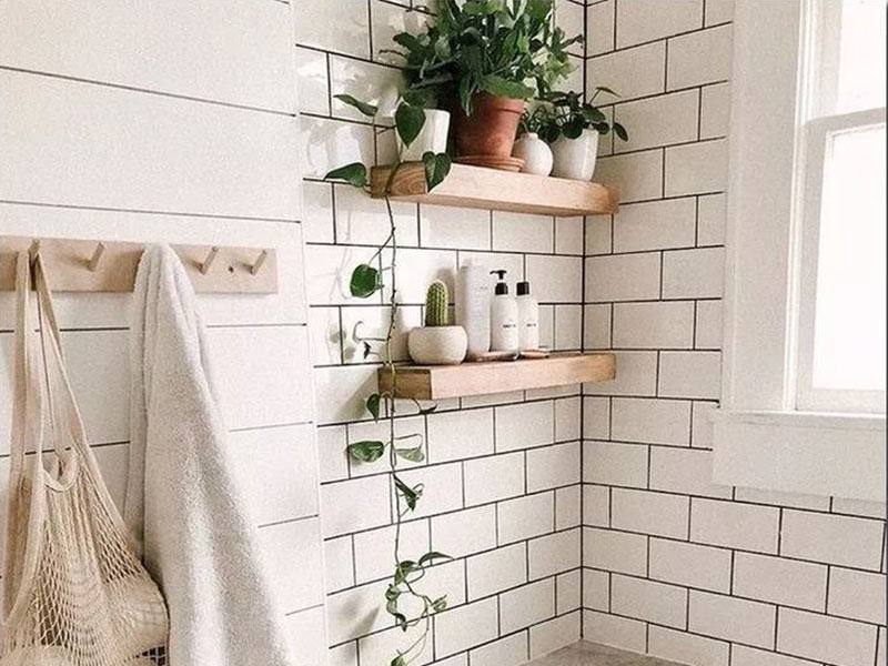 نقش گیاهان نقش گیاهان